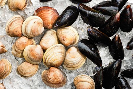 Close-up: Mussels and Clams on Ice on a Baking Tray