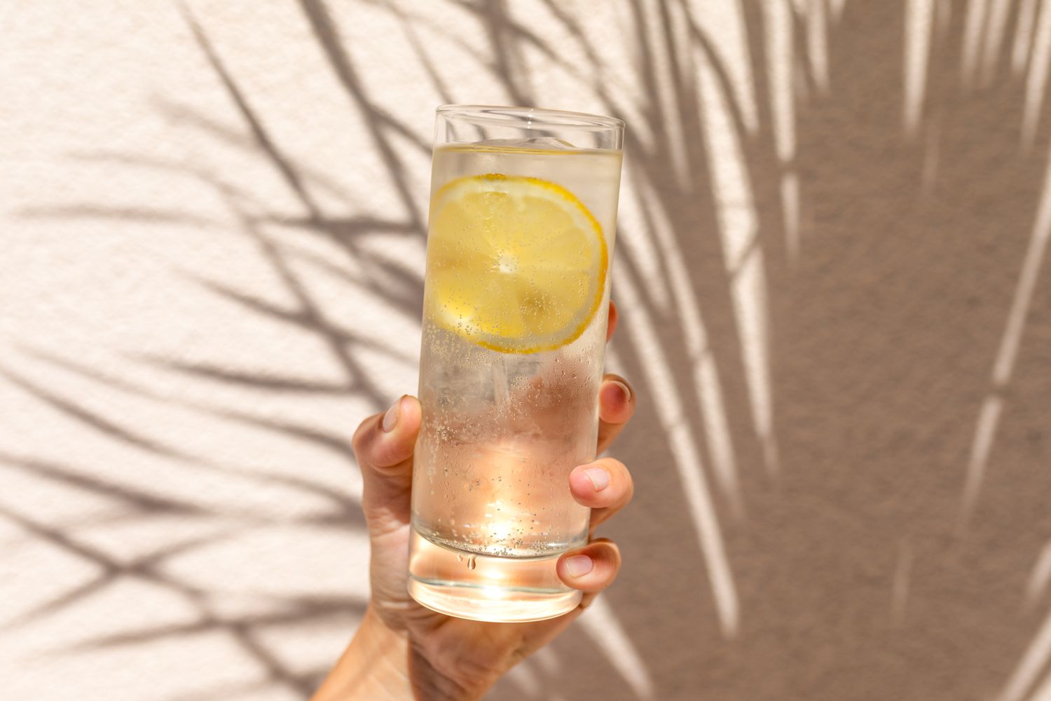 A hand holding a glass of water with a lemon slice