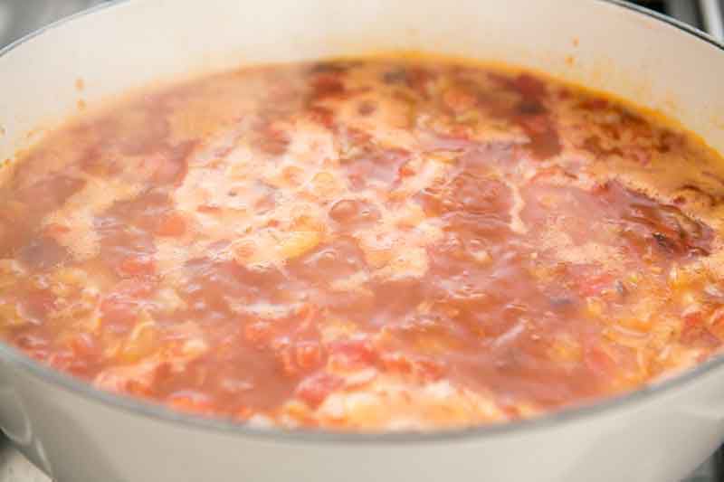 turkey-tortilla-soup-method-7