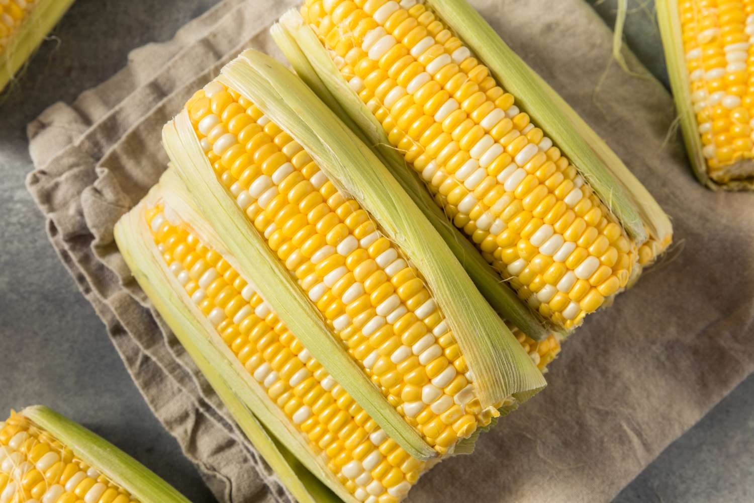 Several ears of corn with husks partially removed on a cloth surface