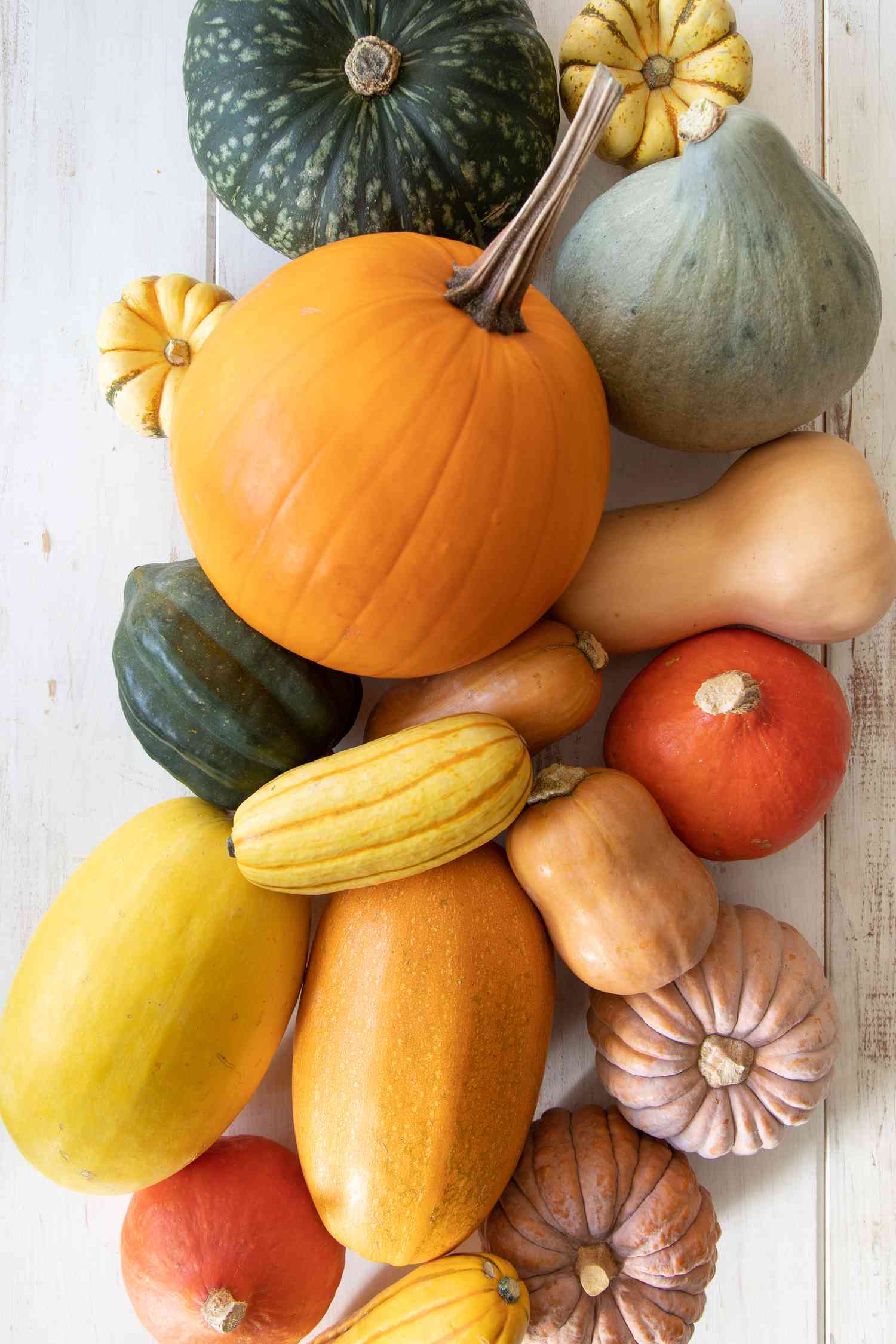 Variety of winter squash
