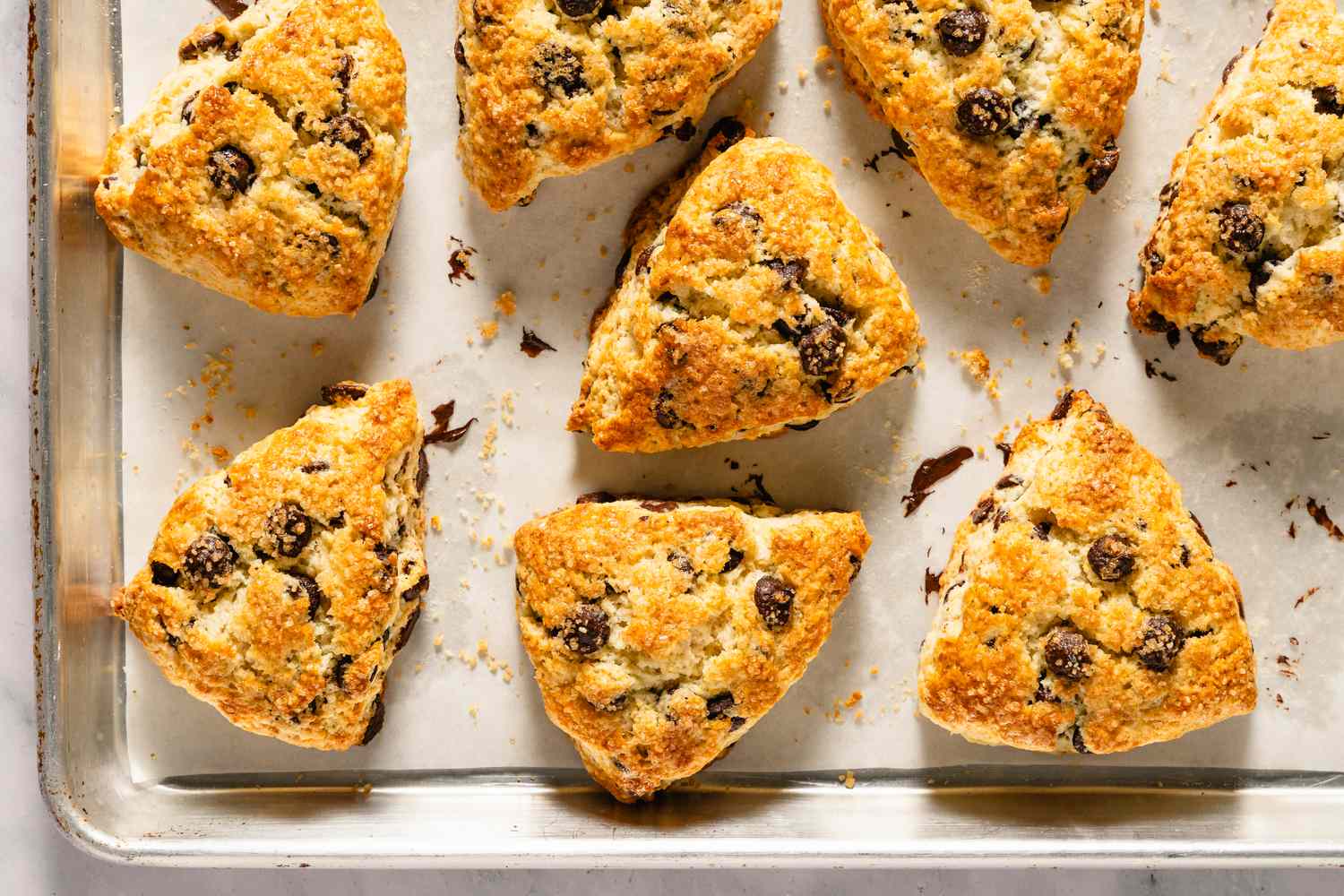 Chocolate chip scones on a baking tray arranged in rows