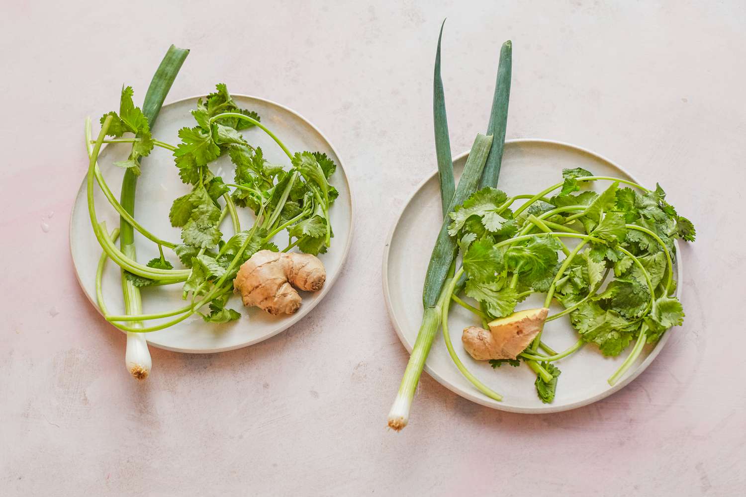 Overhead view of two plates of herbs.