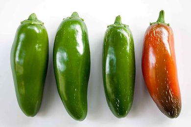 Jalapeno Hotness