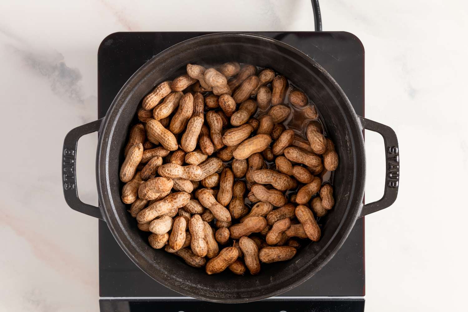 A pot of raw in-shell peanuts and water, ready to boil