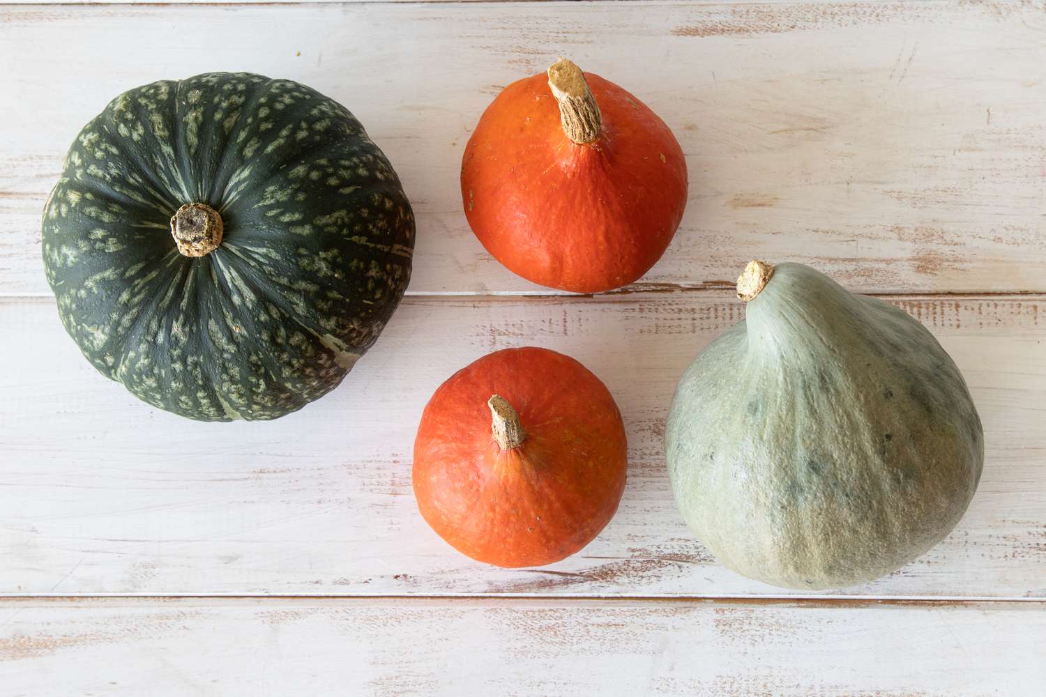 Green and orange winter squash