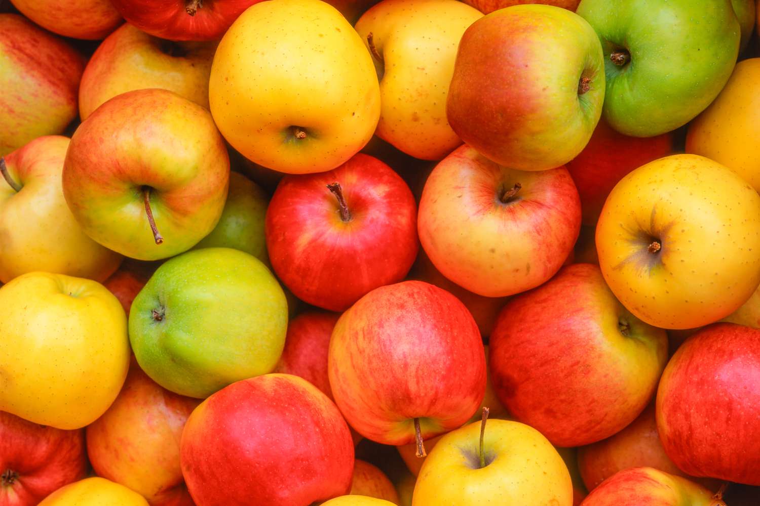 a bunch of Lucy Apples piled on top of each other