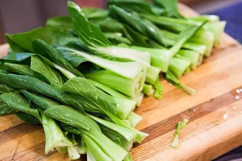 baby-bok-choy-method-1
