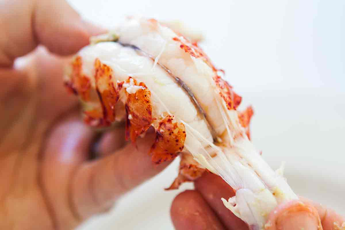 Pull back the flap at the big end of the tail to reveal the digestive canal