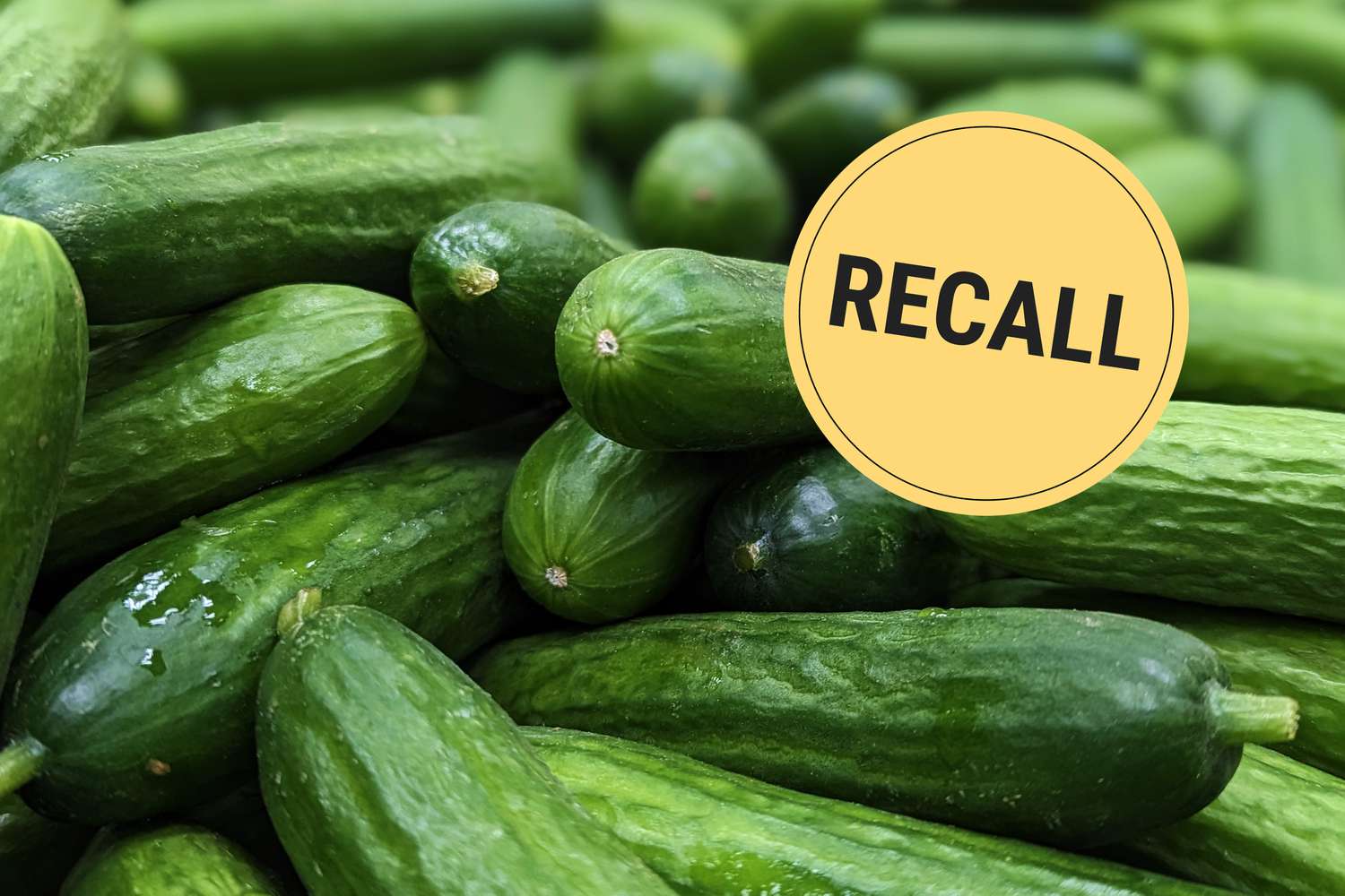 Pile of cucumbers with a recall label overlay