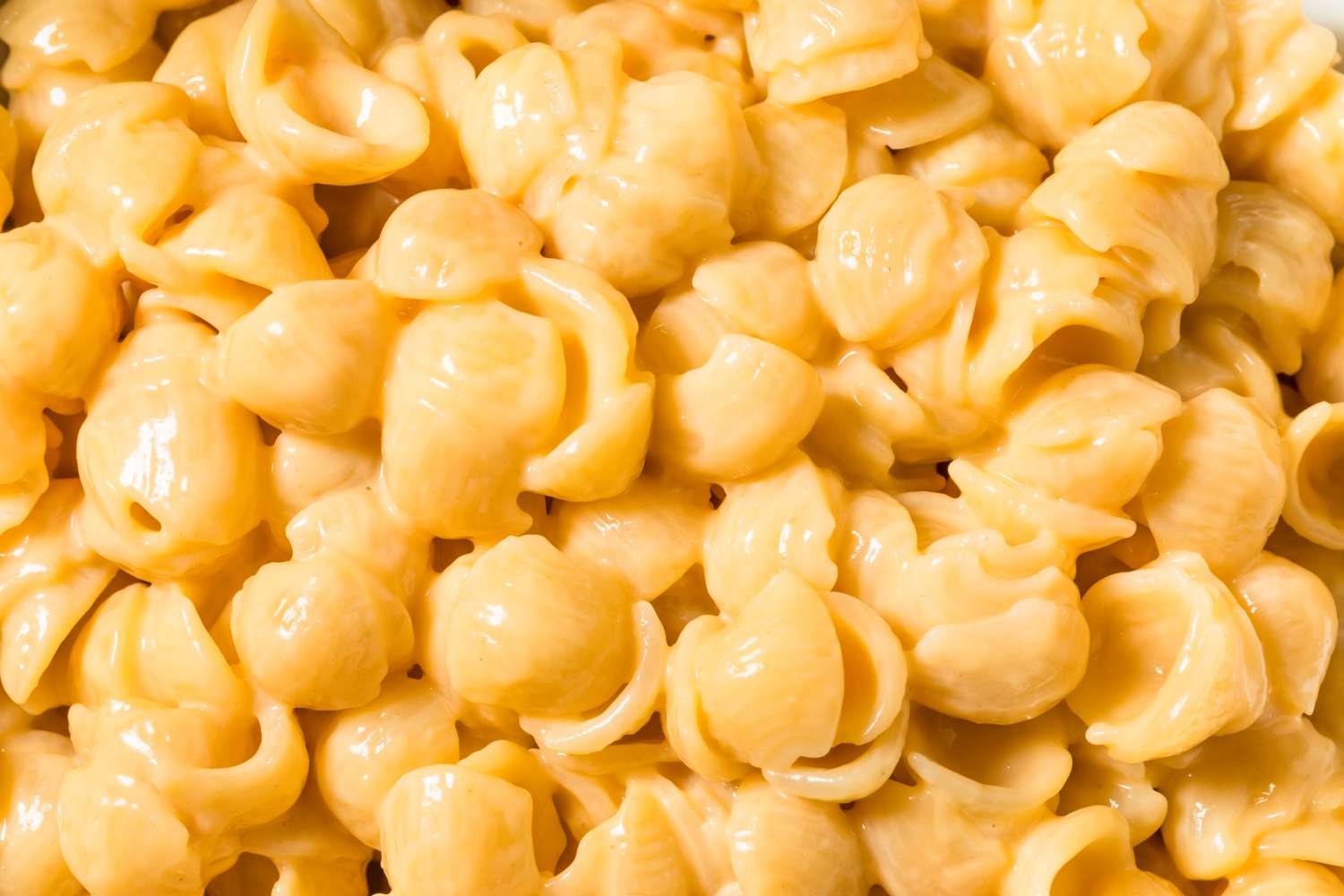 Closeup of macaroni and cheese with shellshaped pasta