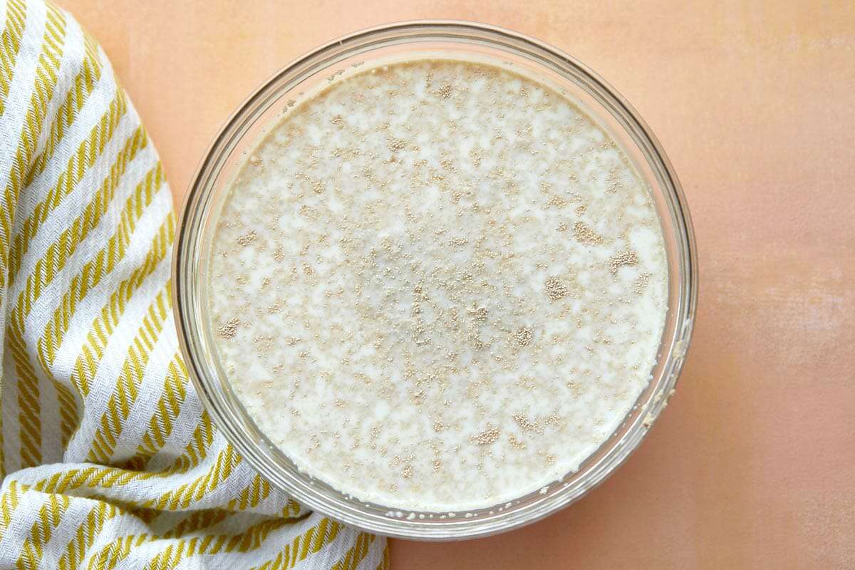 Whole Wheat Sandwich Bread proof the yeast