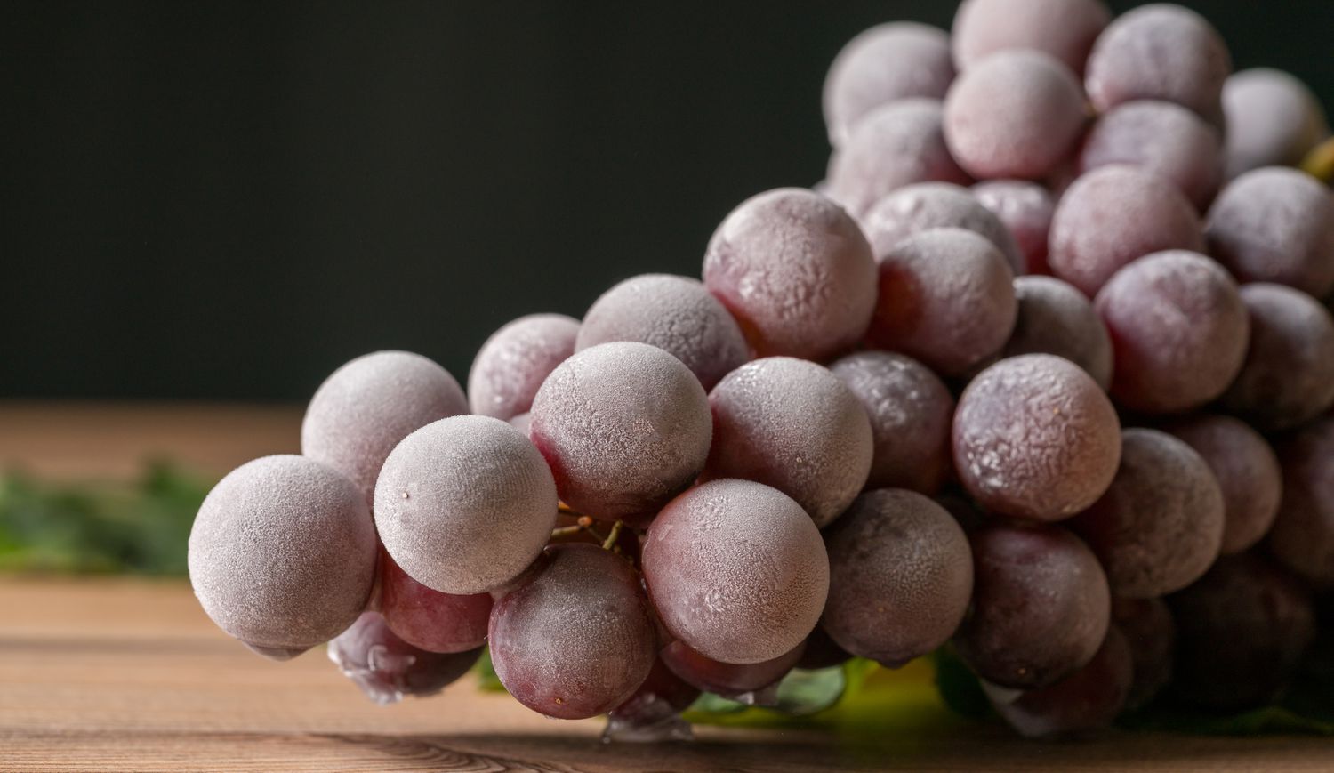 A bunch of frosty frozen grapes on a table