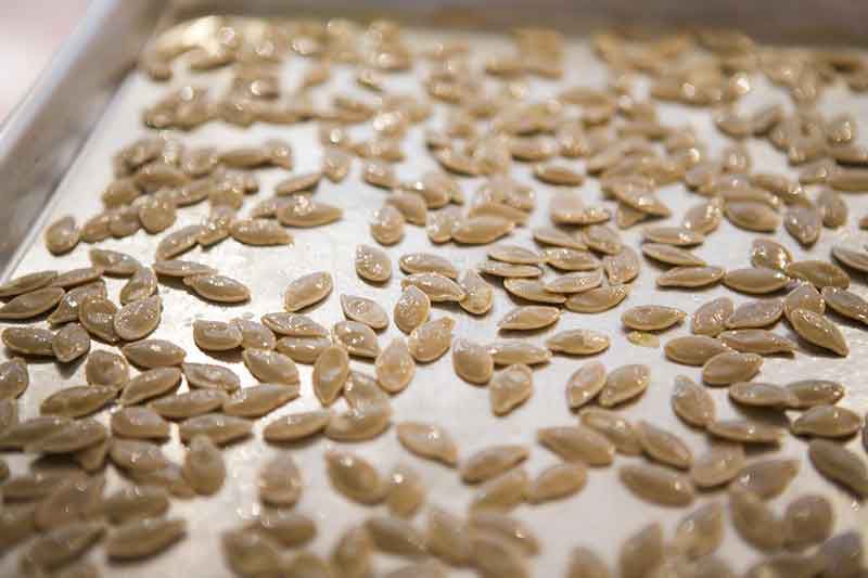 Pumpkin seeds spread out on a cookie sheet