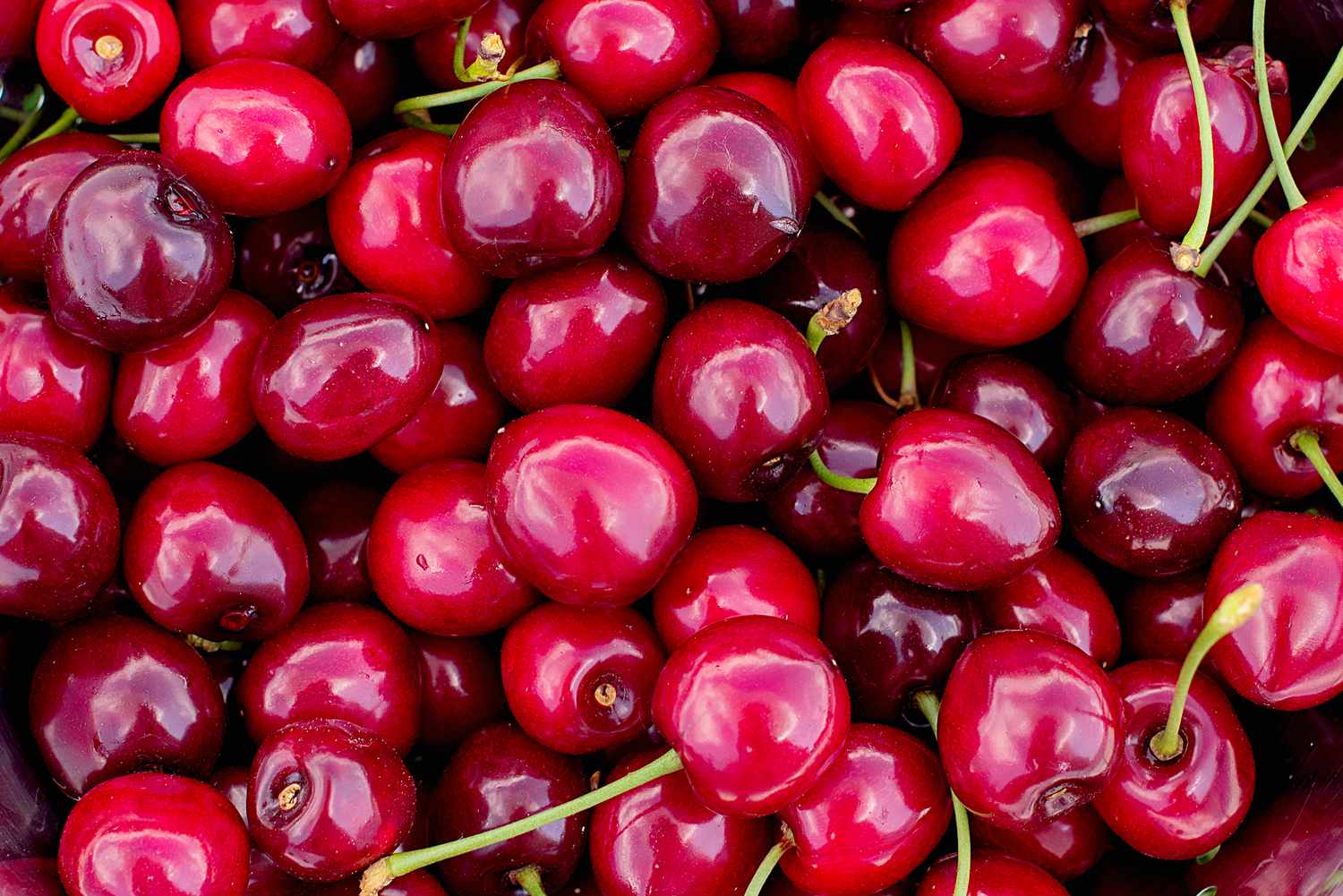 red cherries (close-up)