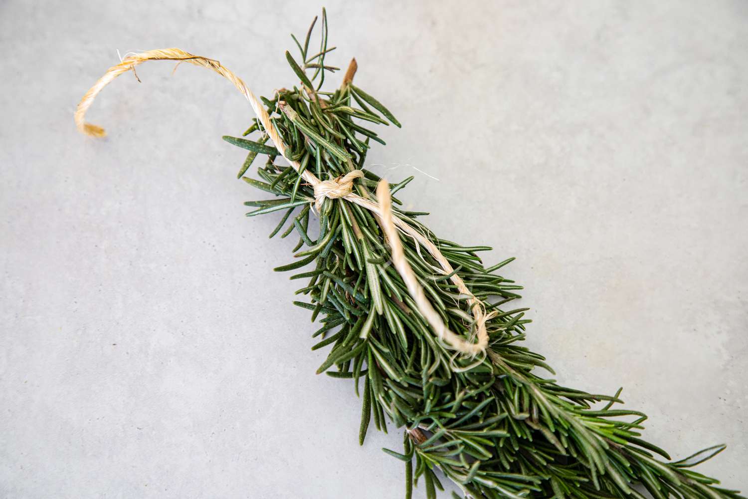 Sprigs of Rosemary Tied Together with Kitchen Twine