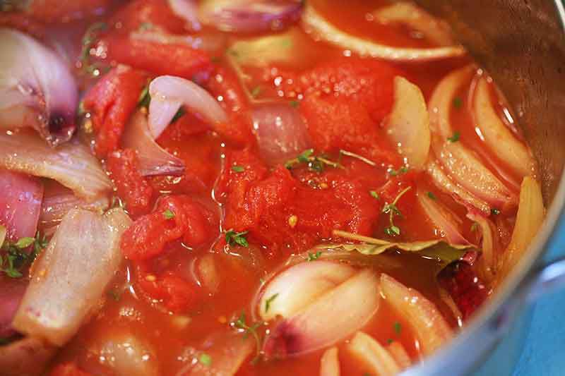 chicken-stew-onions-tomatoes-dijon-method-3