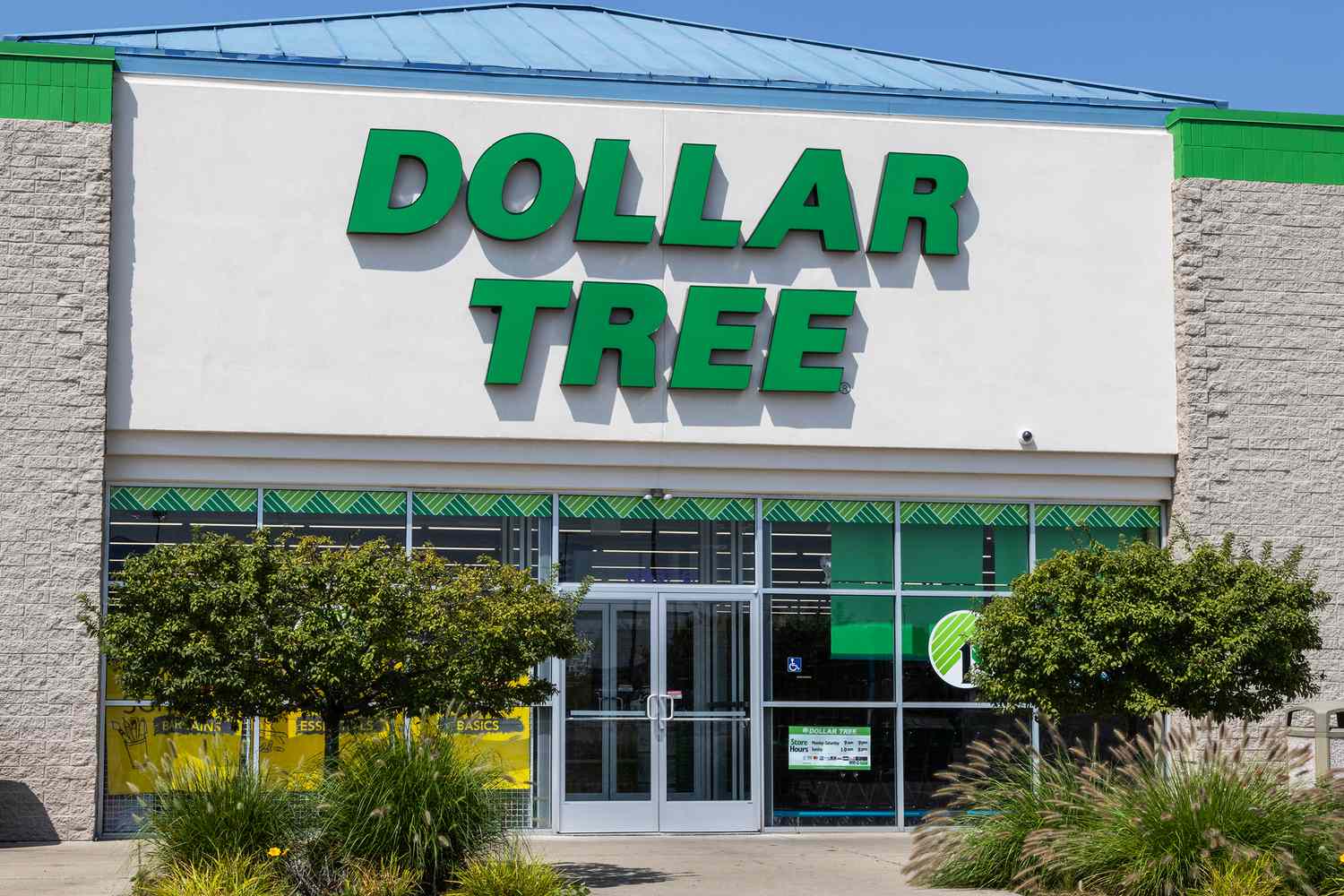 Entrance to a Dollar Tree store with prominent signage and decorative plants in the foreground