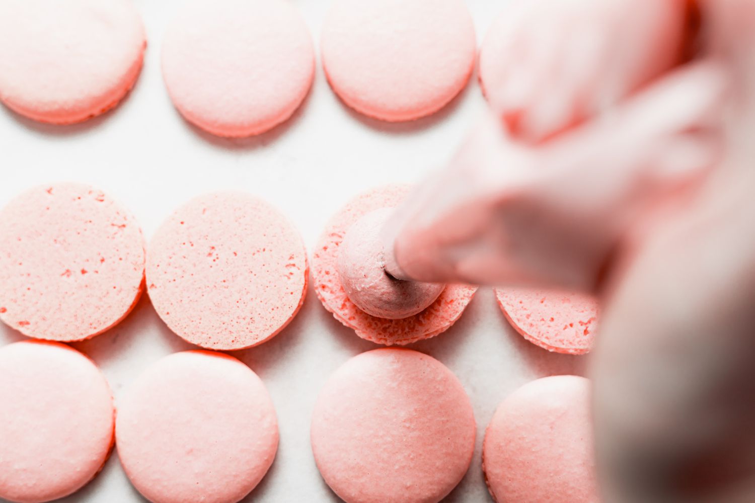 Piping buttercream onto macaron shell.