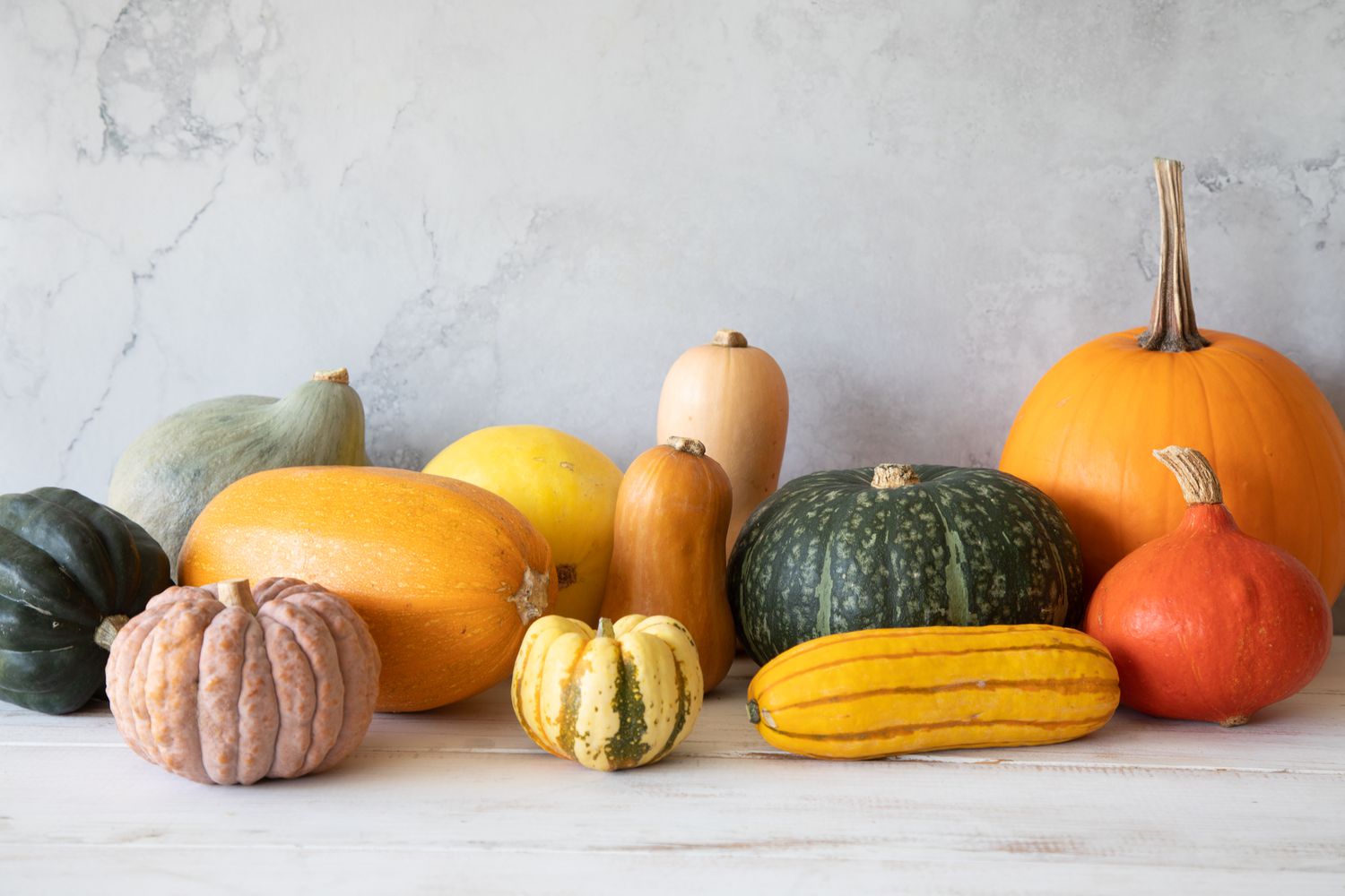 Types of winter squash