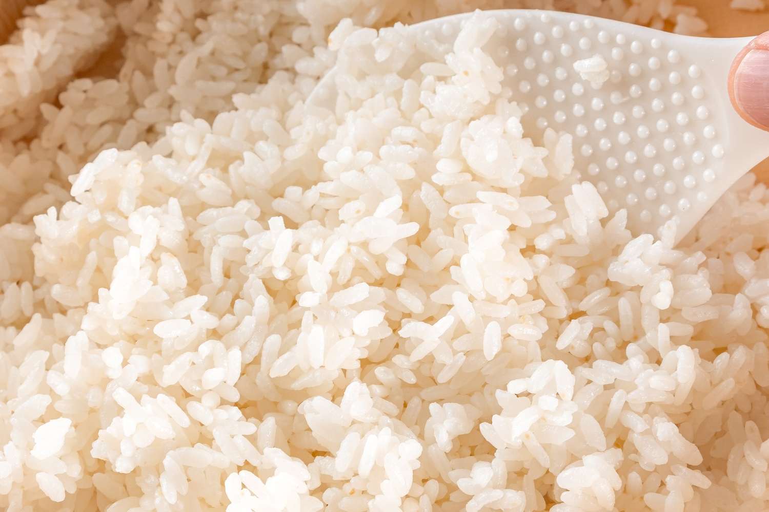 Cooked rice being scooped with a rice paddle