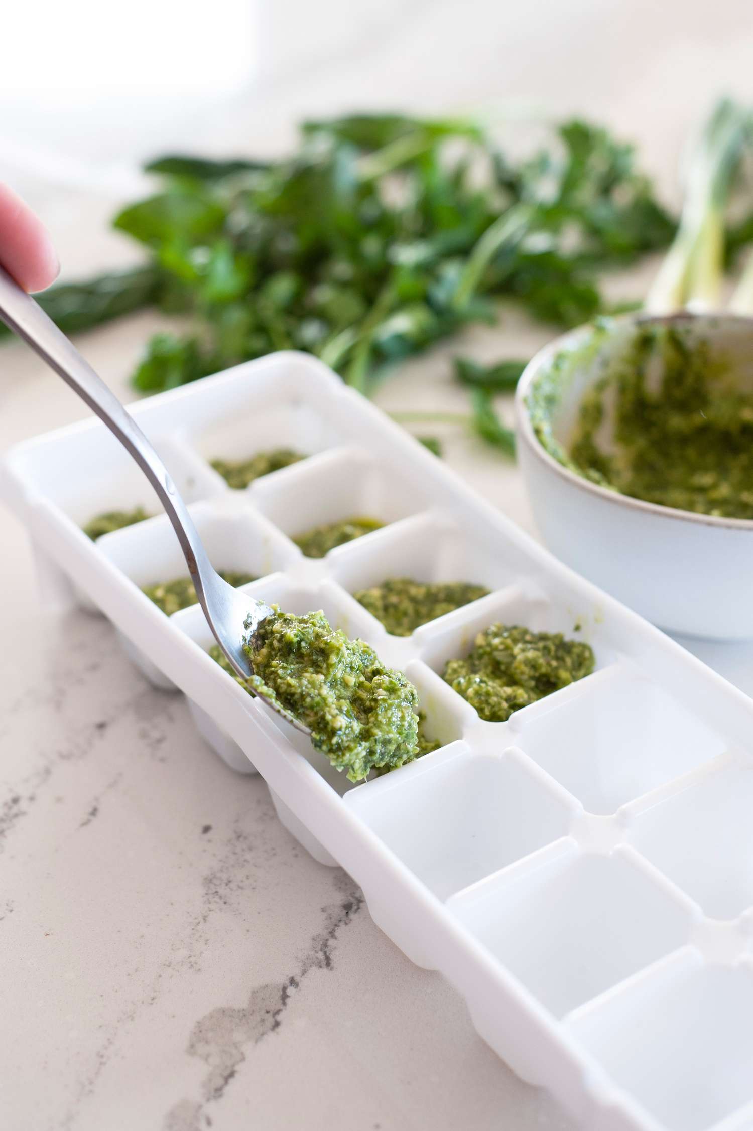 Scallion pesto in ice cube tray