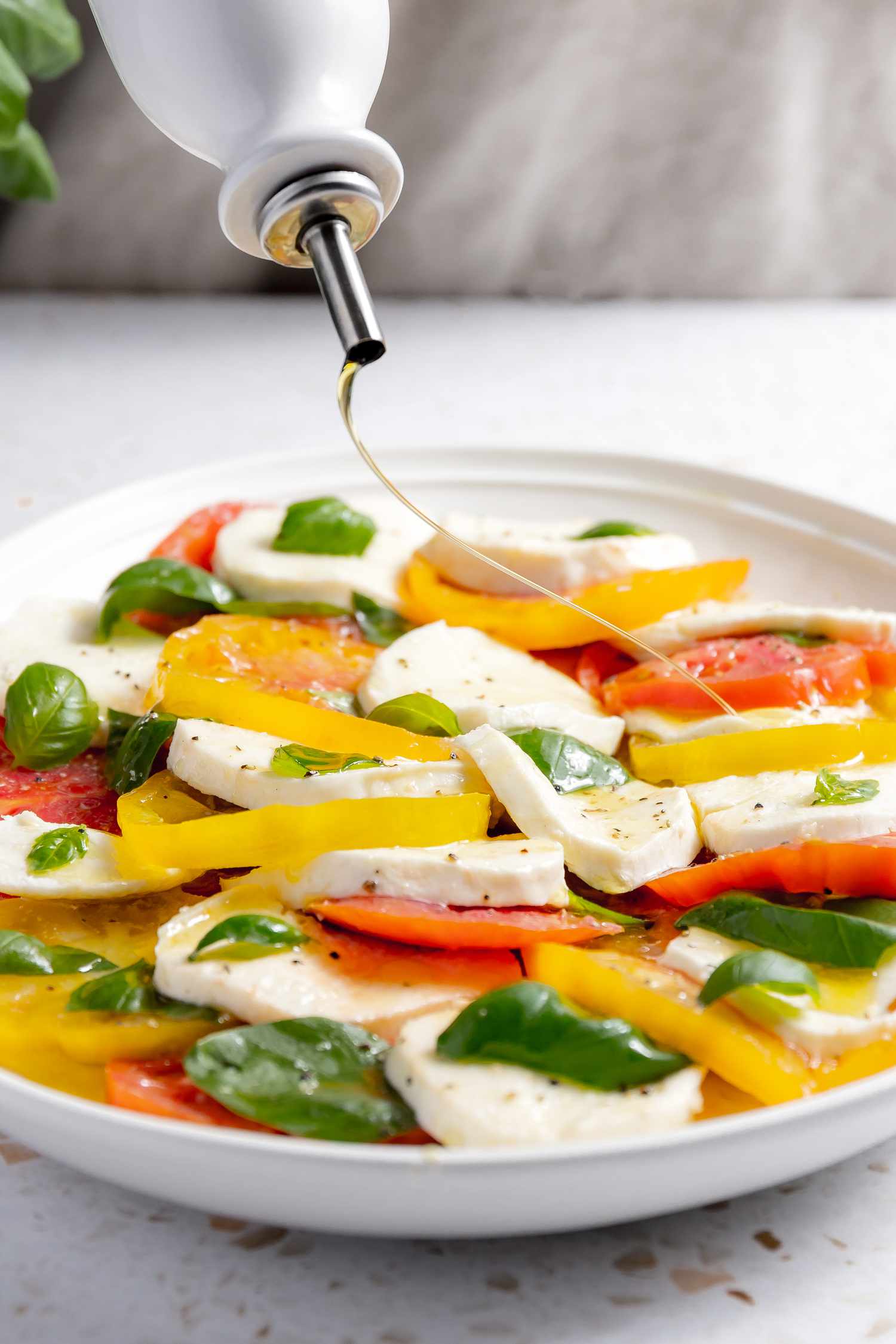 Olive Oil Drizzled Onto Platter of Caprese Salad With Tomatoes, Basil, and Mozzarella, and in the Background, a Basil Plant