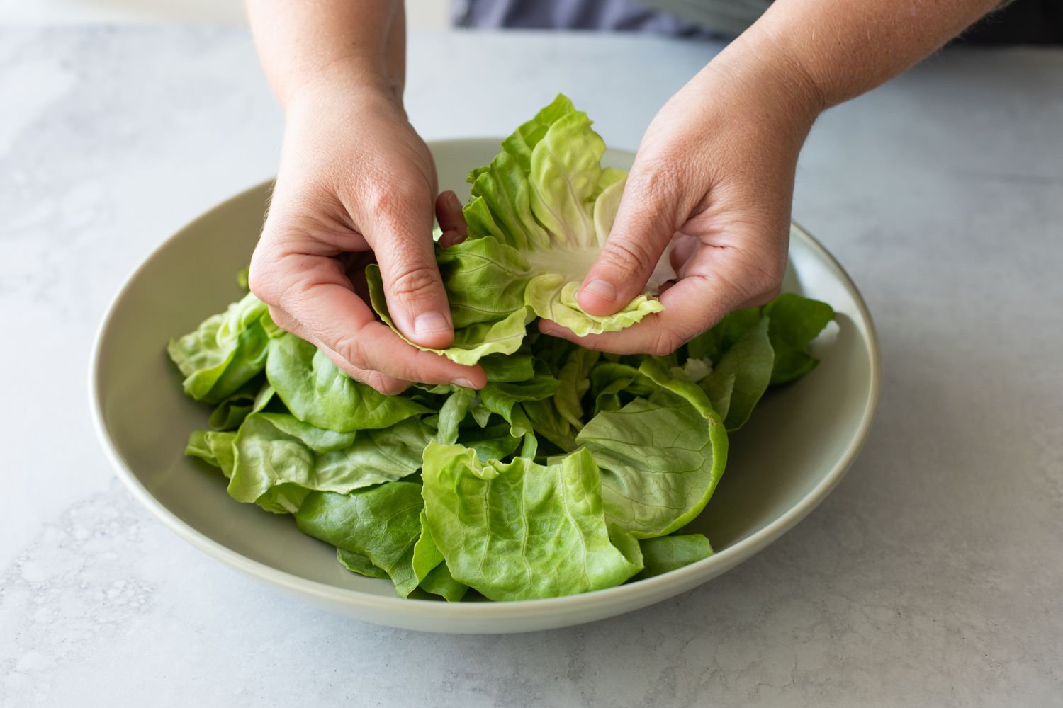 Lettuce for Green Salad with Fresh Herbs Torn into a Bowl 