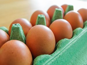 An open carton of brown eggs on the counter