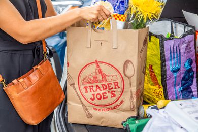 someone holding a bag of trader joe's groceries