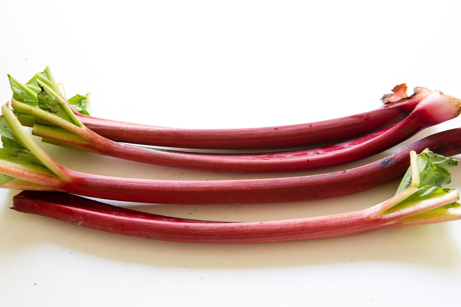 Stalks of Rhubarb on the Counter