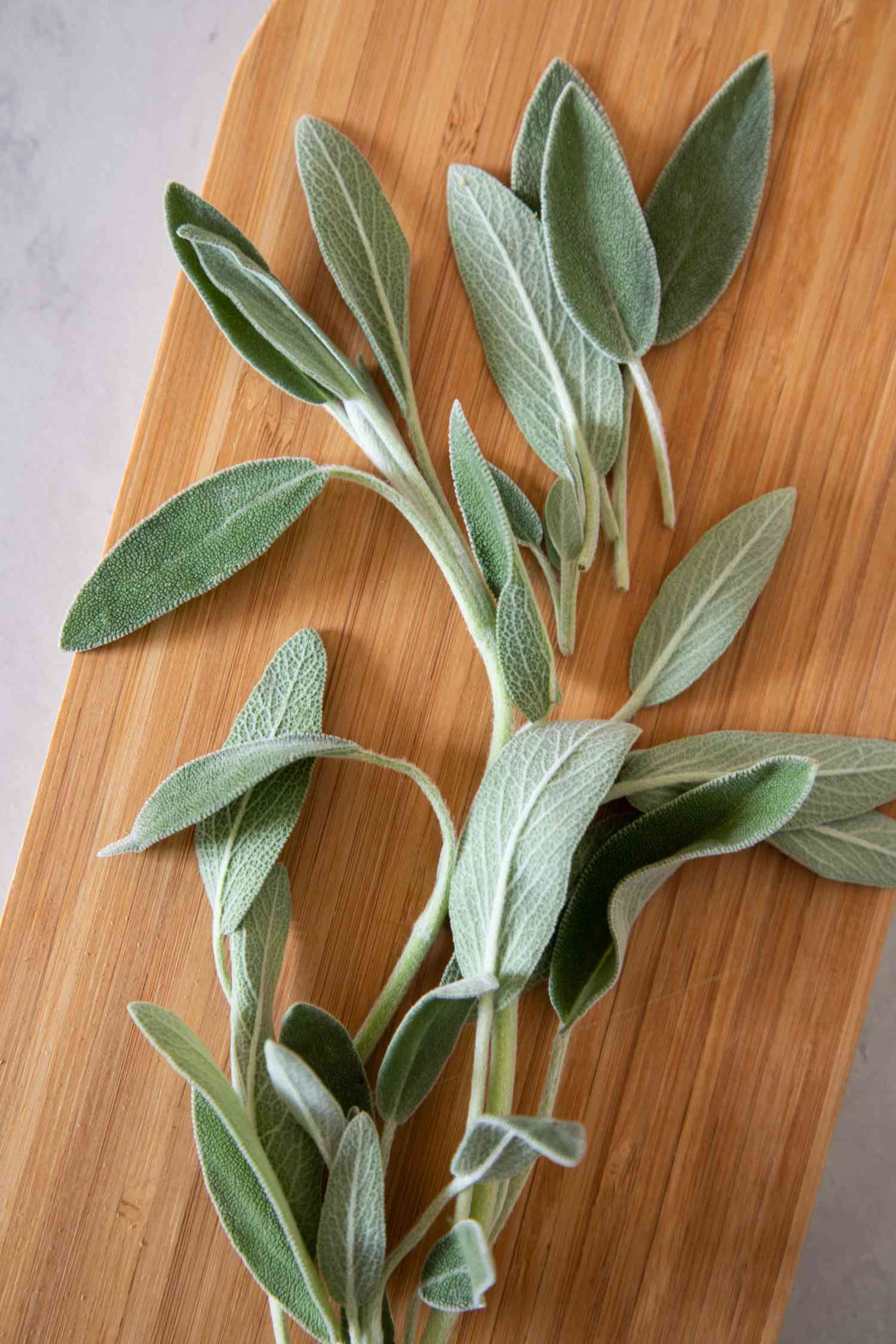 Long sprig of fresh sage on a wooden cutting board