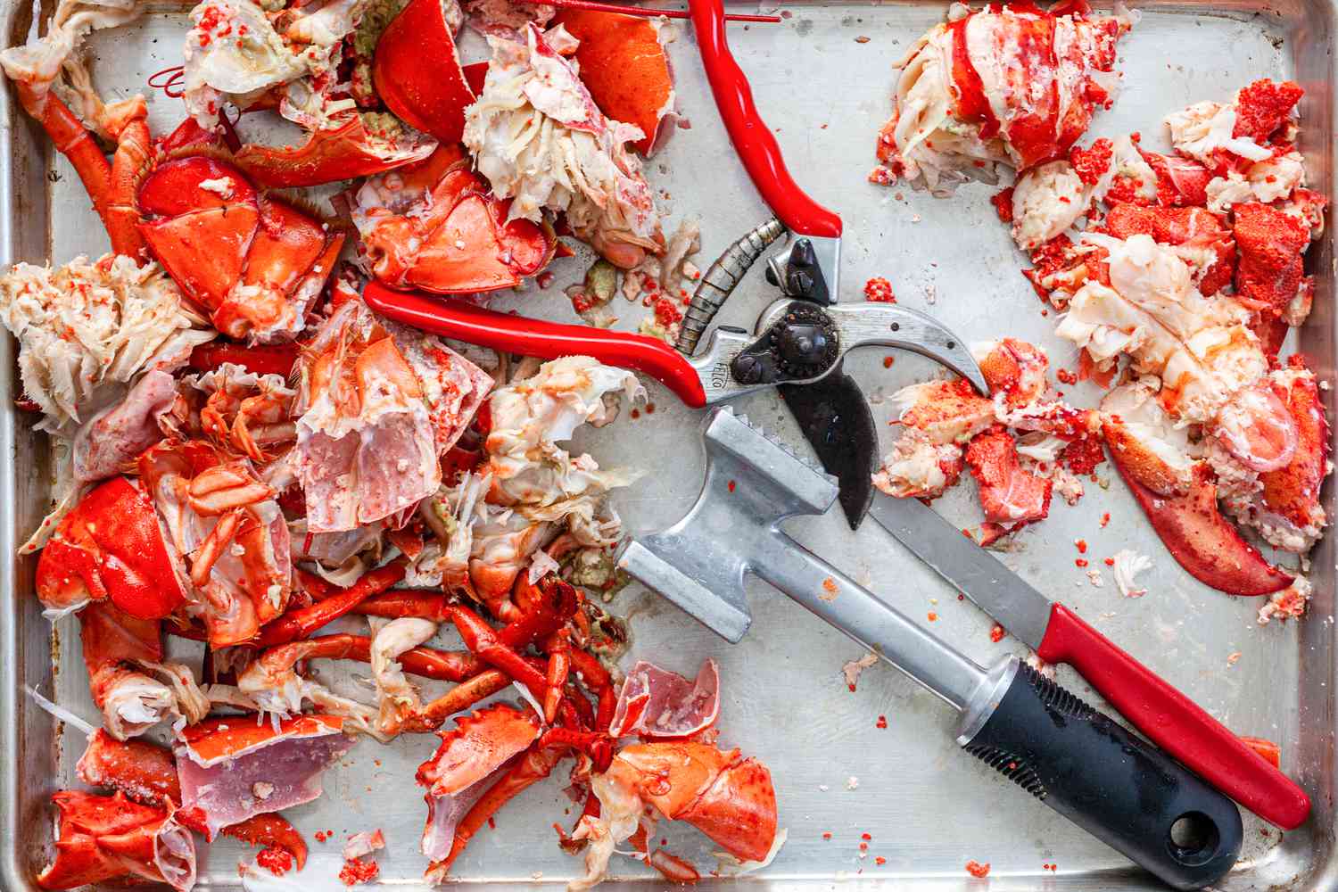 Lobster Deshelled Using a Mallet, Sheers, and Knife in a Baking Pan for Lobster Bisque