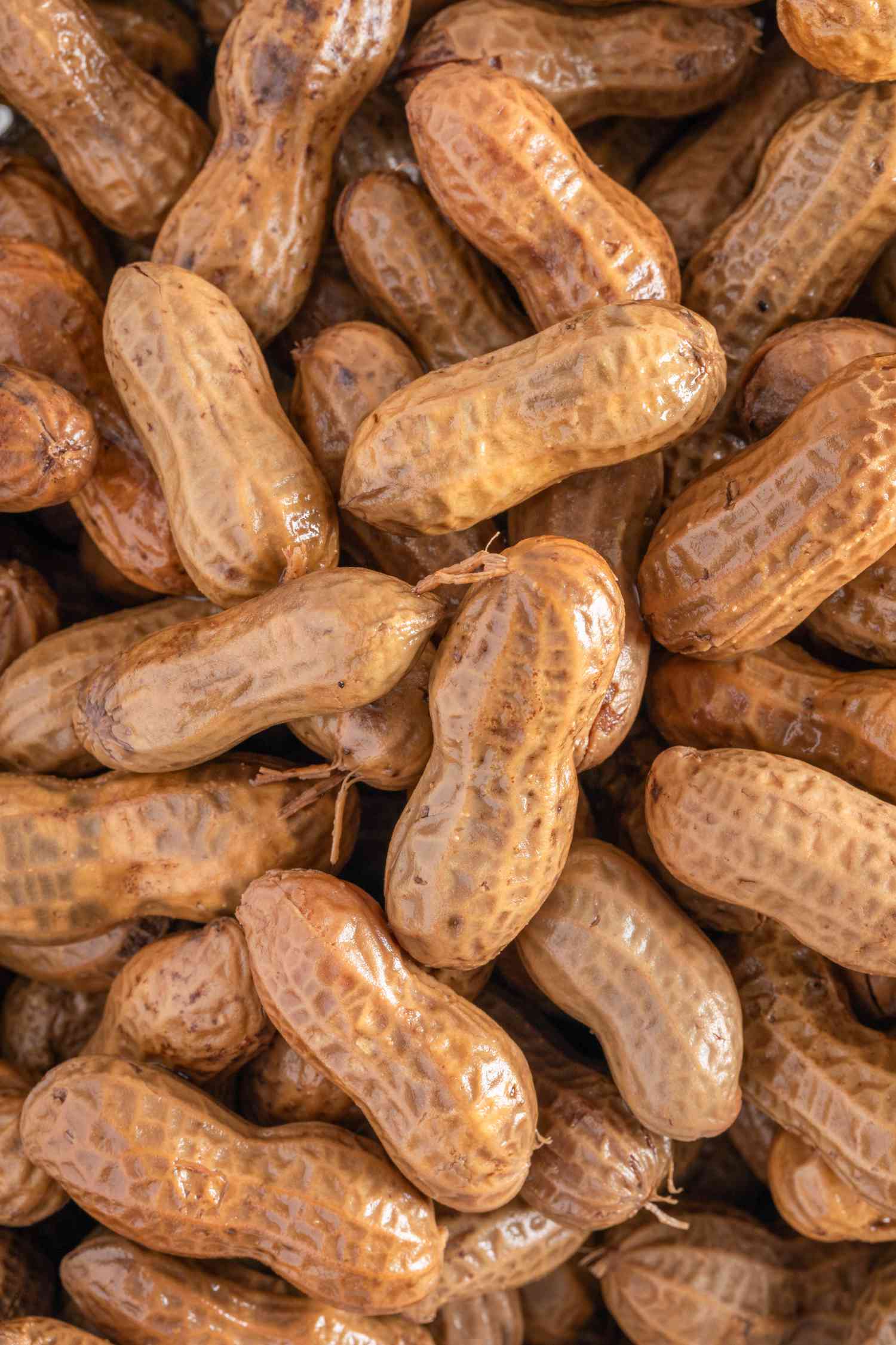 Close-up of boiled peanuts in the shell