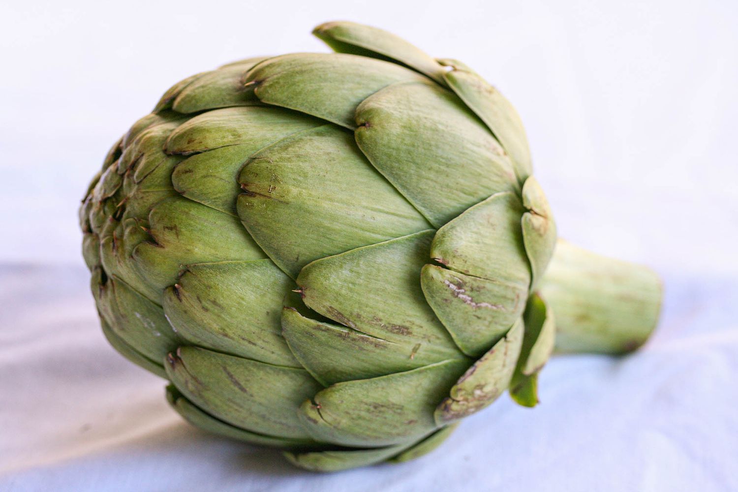 One globe artichoke on a surface