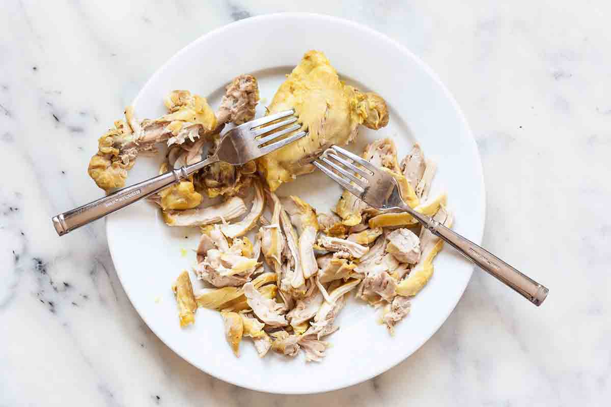 Creamy chicken stew shred the chicken