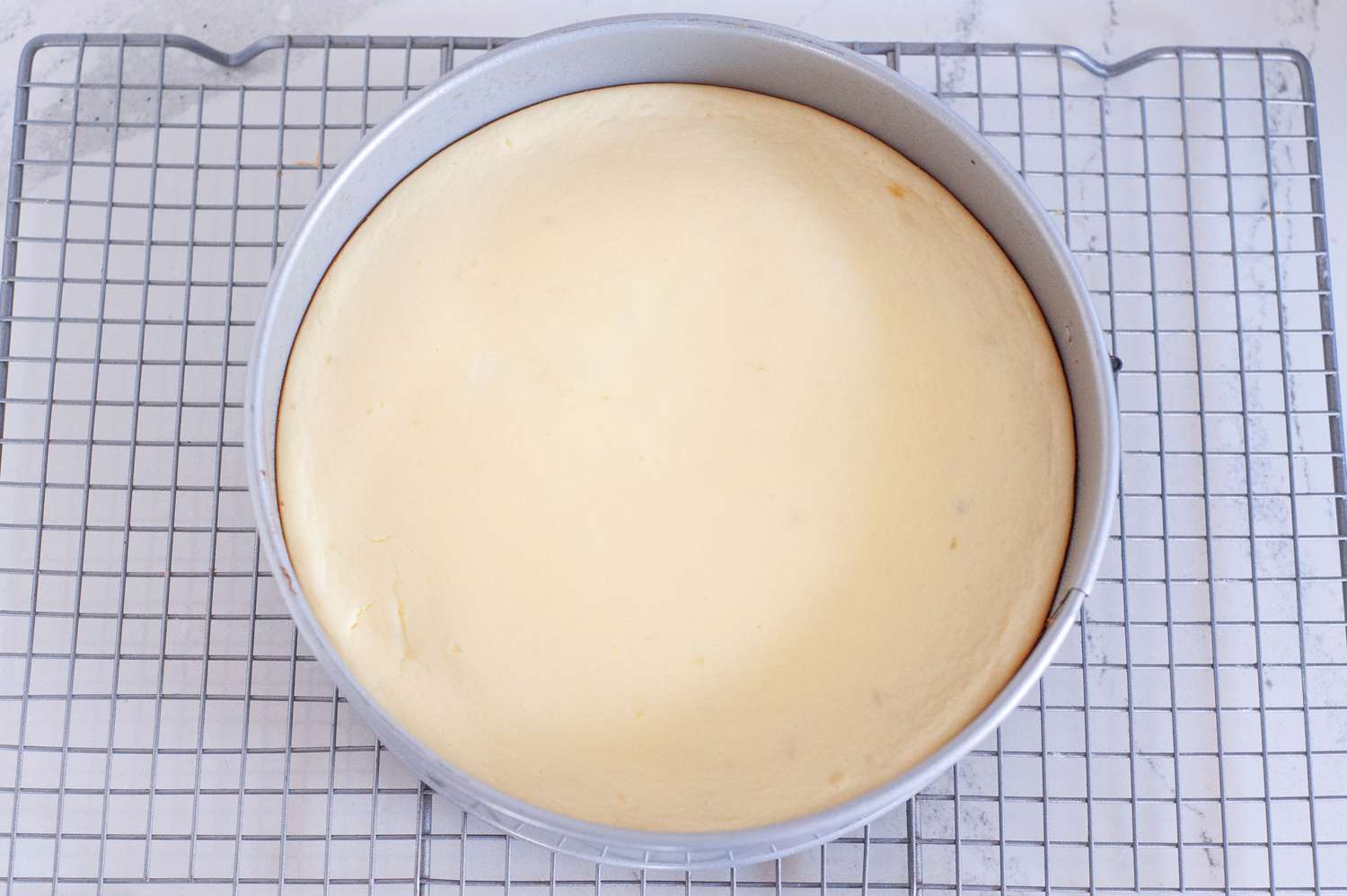 Baked key lime cheesecake in pan.