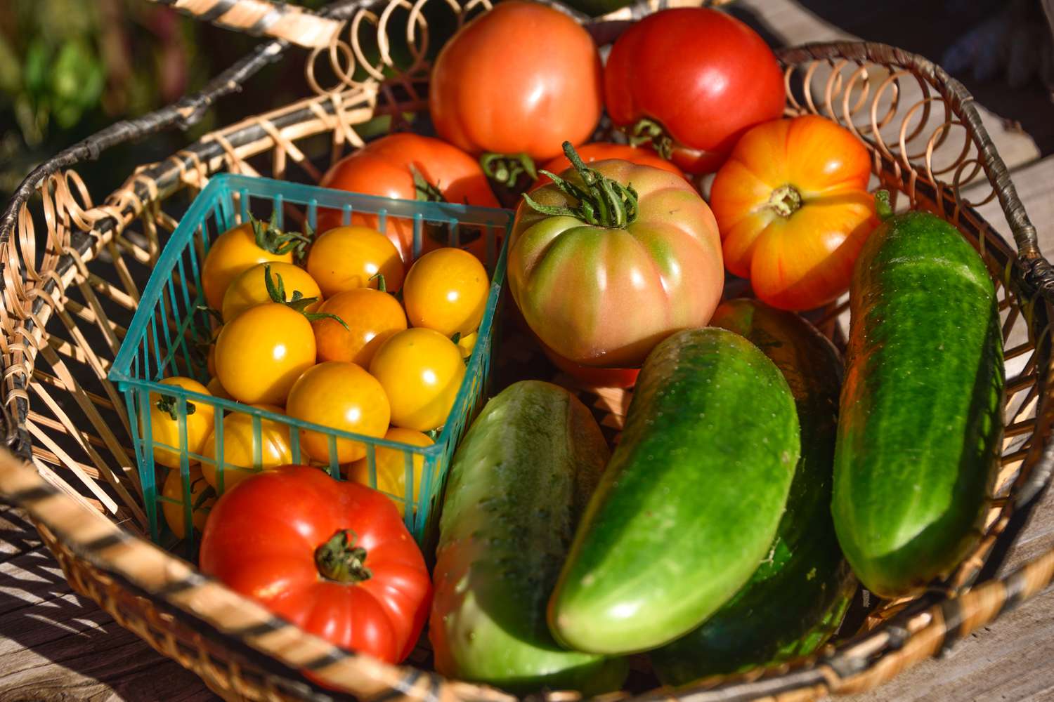 A basket with a variety of tomatoes and cucumbers displayed outdoors, emphasizing fresh and seasonal produce