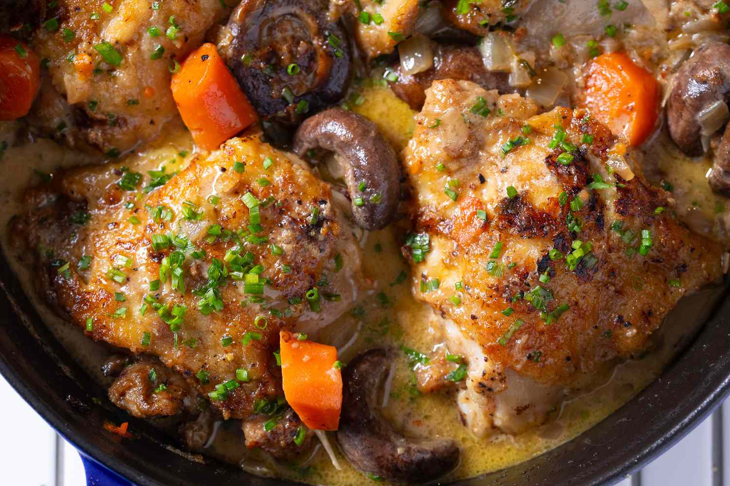 chicken fricasse in a dutch oven (close-up)