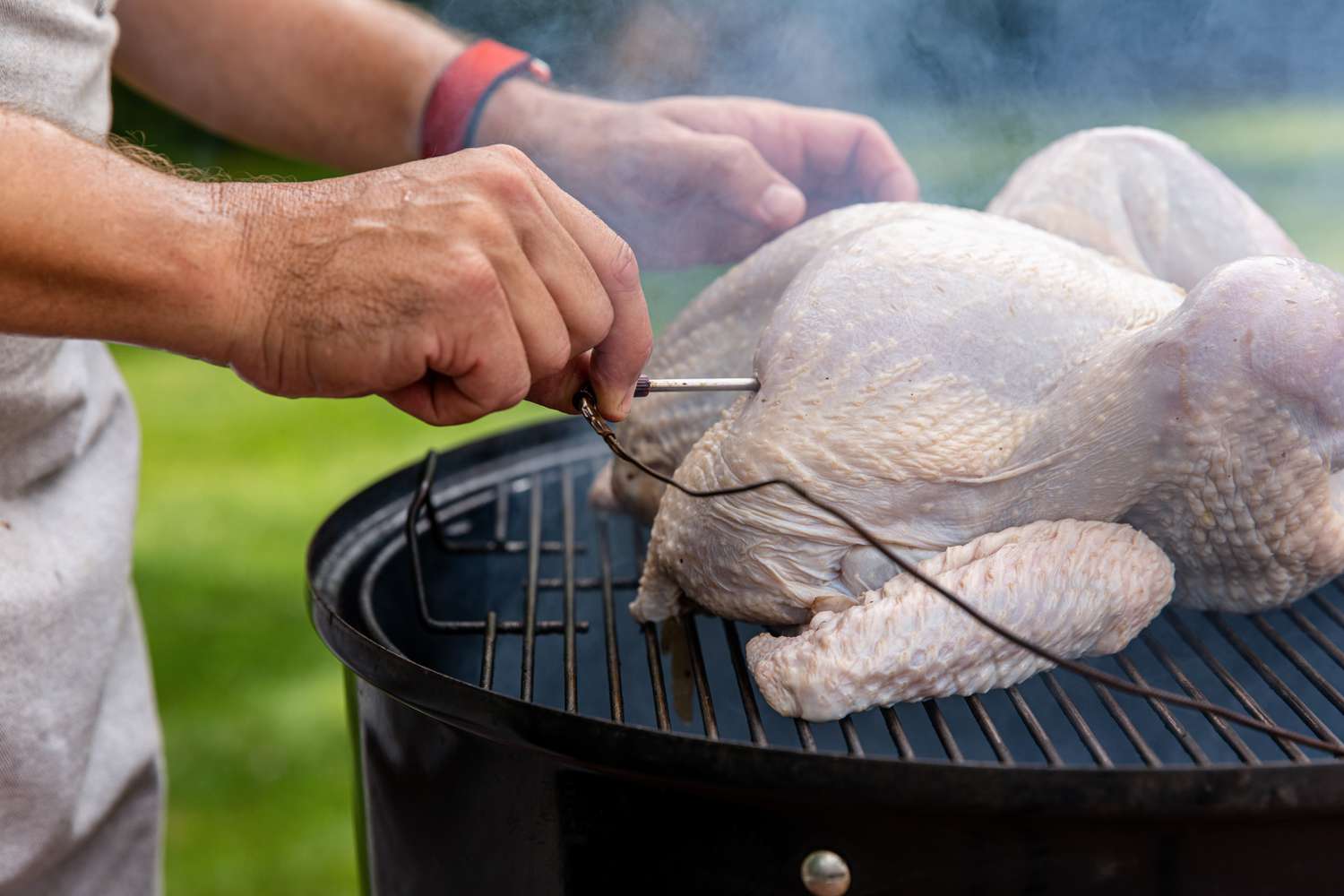 Inserting a meat thermometer in a turkey on a smoker to make a brined smoked turkey.