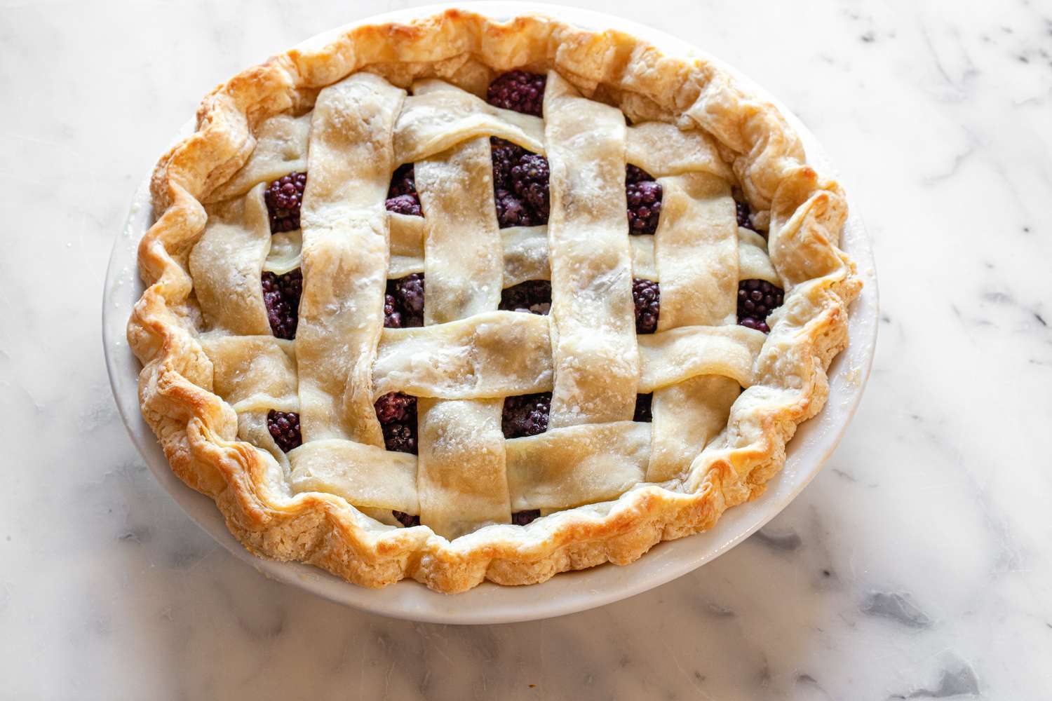 Blackberry Pie after First Bake