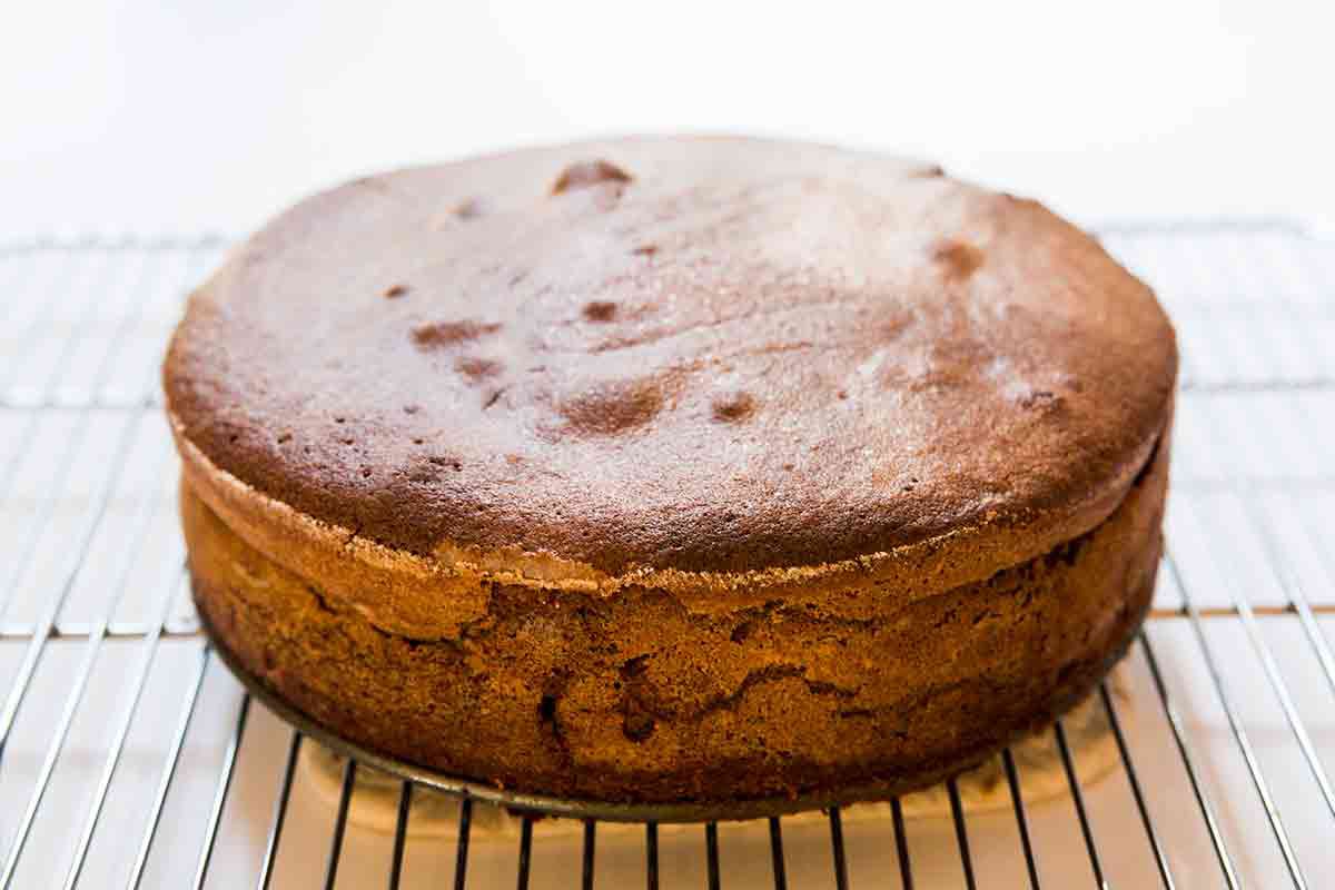 caked removed from springform pan