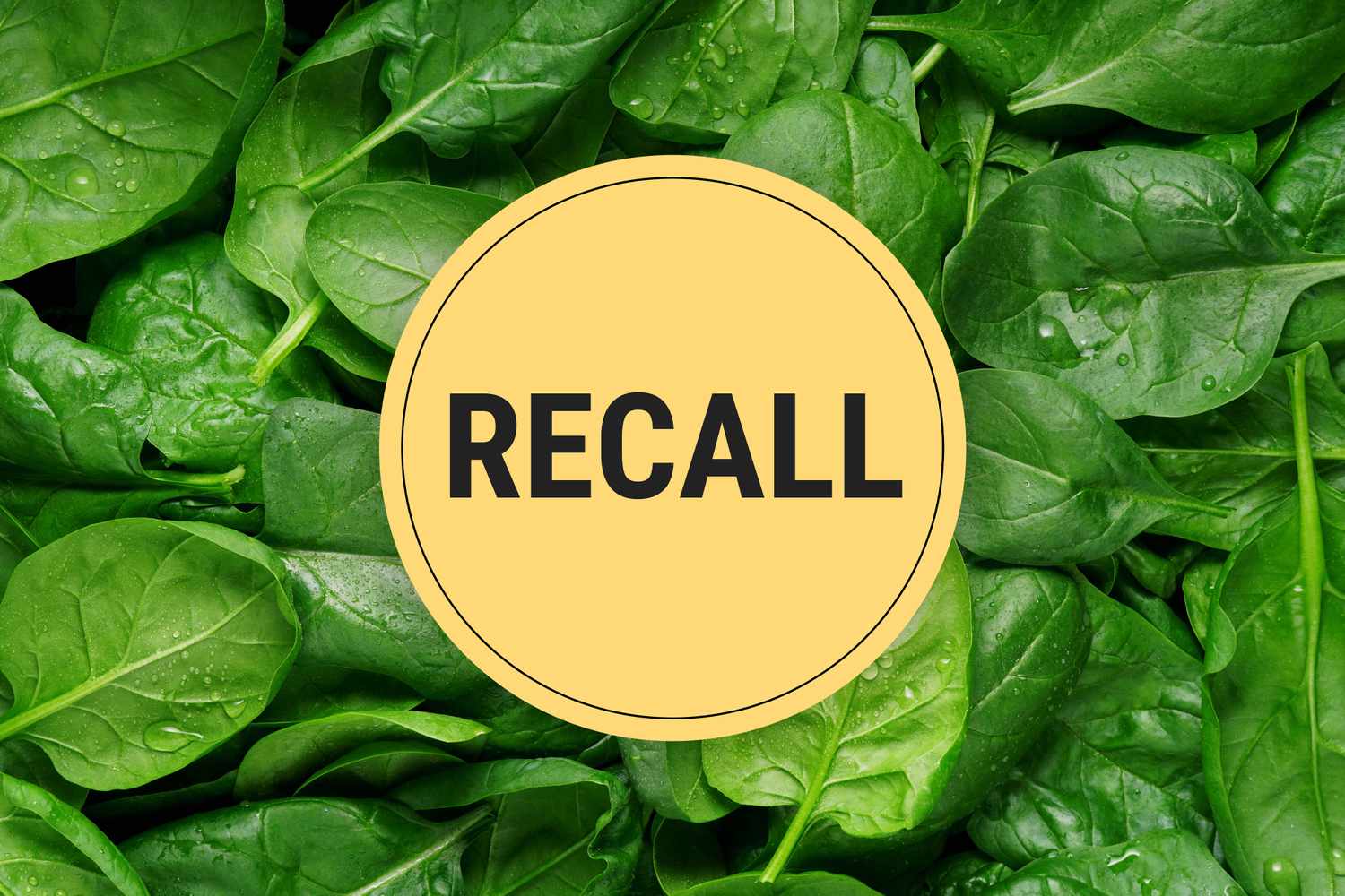 A recall notice overlaid on fresh spinach leaves