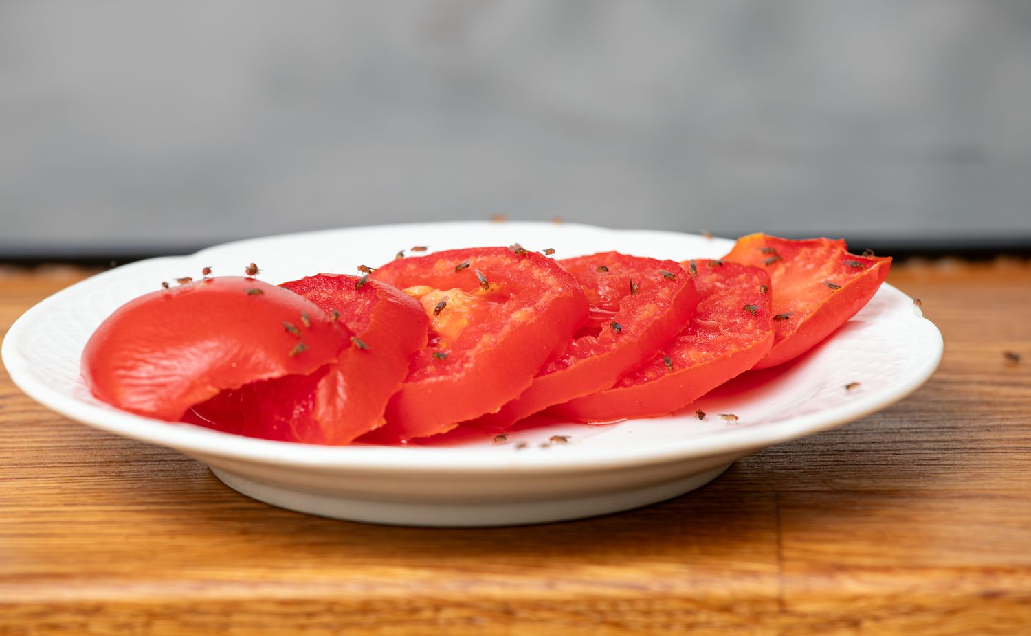 Sliced tomatoes on a white plate with small insects on them wooden surface underneath