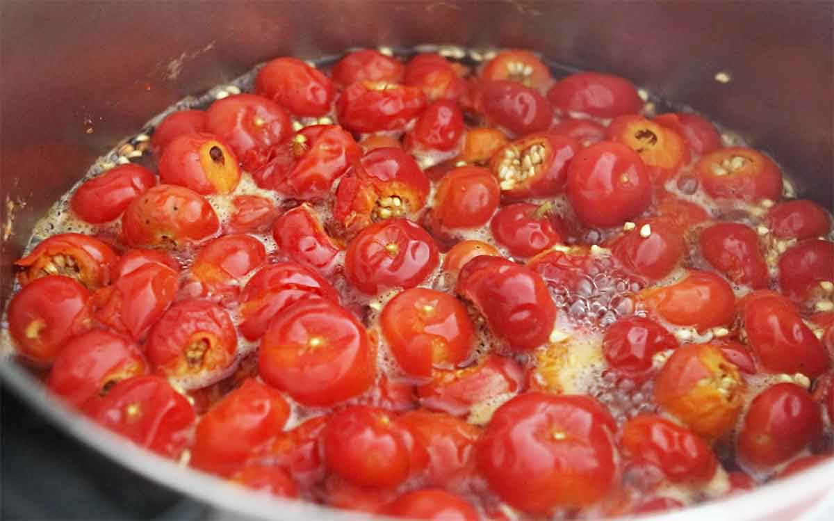 Boiling Rose Hips