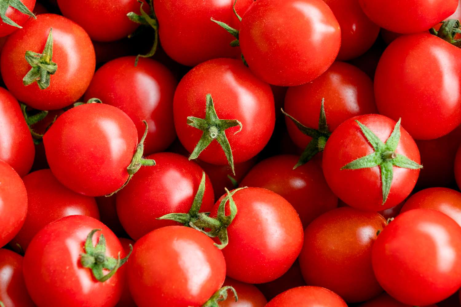 A group of cherry tomatoes