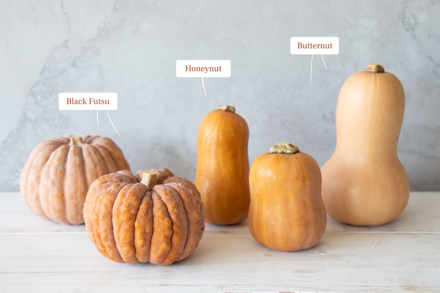 Black futsu, honeynut, and butternut squash