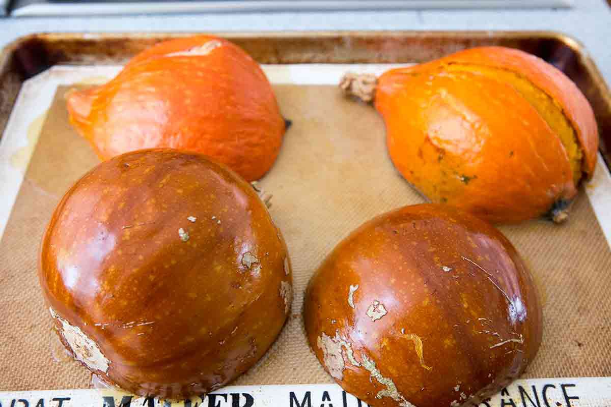 roasted sugar pumpkins and kabocha red kuri squash