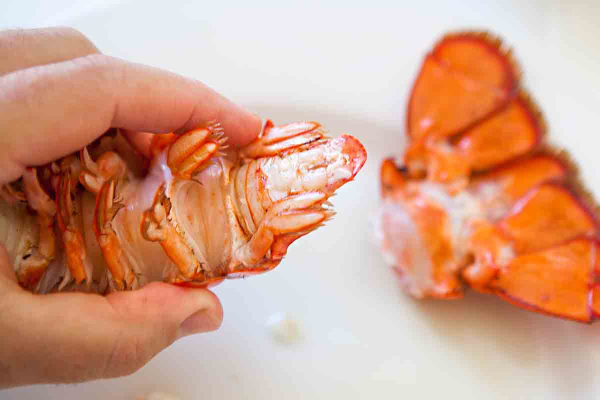 Pull back the end of the lobster tail to separate it from the rest of the tail