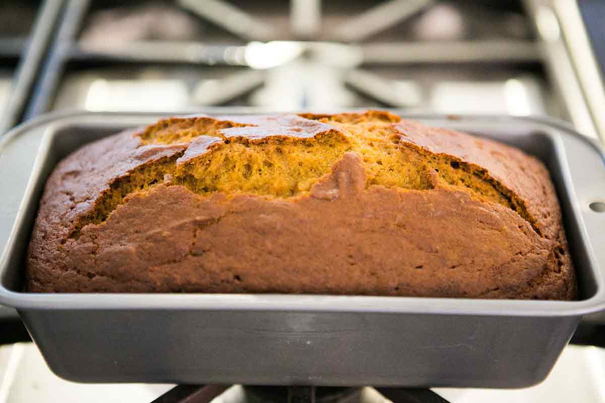 Pumpkin Bread Recipe Moist pumpkin bread warm out of the oven